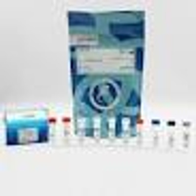 Total VASP cellular kit, 50000 Tests 
 {2013-63ADK067PEY KT}