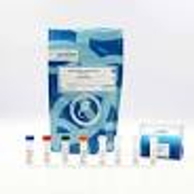 Alpha-Tubulin acetyl-K40 kit, 100000 Tests 
 {2013-63ADK072PEJ KT}