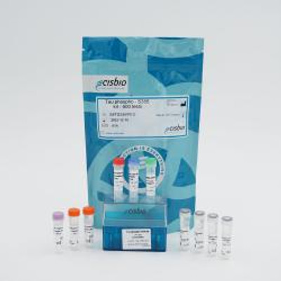 Phospho-Tau (Ser356) cellular kit, 50000 Tests 
 {2013-64TS356PEY KT}