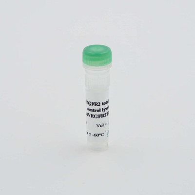 Total-VEGFR control lysate, 1 Unit 
 {2013-64VEGFR2TTDA}