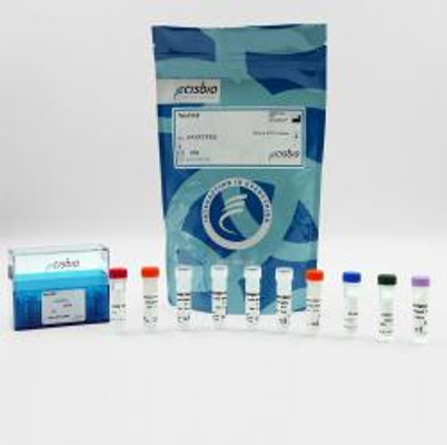 Total YAP cellular kit, 50000 Tests 
 {2013-64YATPEY KT}