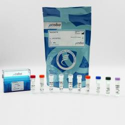 Total ZAP-70 cellular kit, 50000 Tests 
 {2013-64ZATPEY KT}