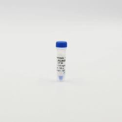XL665 Maleimide labeling reagent, 10 mg 
 {2013-65XLMABC}