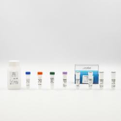 Tau Aggregation Kit, 100000 Tests 
 {2013-6FTAUPEJ KT}