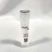 Cyanine 3-CTP, 100 nmol 
 {2013-NEL580001EA}
