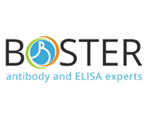 Manufacturer Default Logo