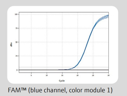 Color module 1 
 {2086-844008200}