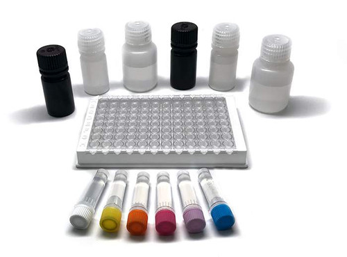 MaxSignal® Saxitoxin (PSP) ELISA Kit {2886-FOOD103402}