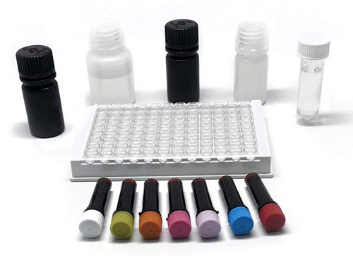 MaxSignal® Aflatoxin M1 ELISA Kit {2886-FOOD106005}