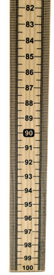 Meter Stick -Single Sided {2394-PH0064C}