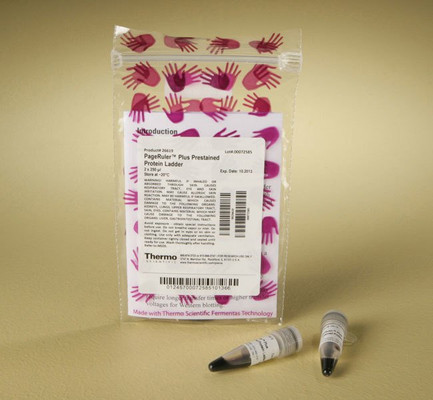 PAGERULER PLUS LADDER 2X250UL 
 {3136-26619}