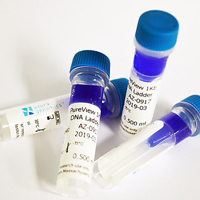 100bp DNA Ladder 500 Lanes 5 x 500æl  
 {2119-AZ1135}