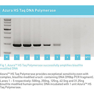 HS Taq DNA Polymerase 5000u (5u/æl)  
 {2119-AZ1550}