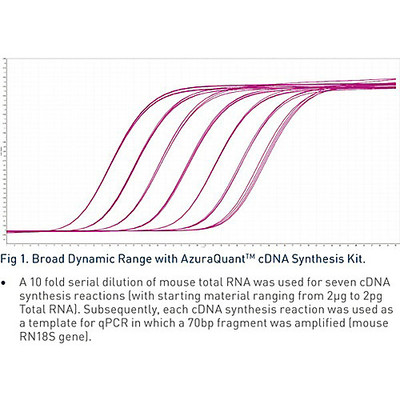 cDNA Synthesis Kit 100 Reactions  
 {2119-AZ1996}