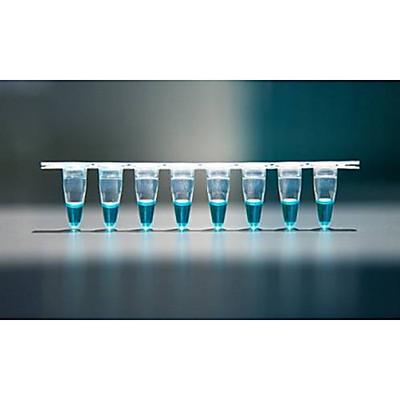 GreenFast qPCR Blue Mix LR 100 x 20æl  
 {2119-AZ2301}