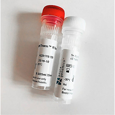 cDNA Synthesis Kit 1000 Reactions  
 {2119-AZ1998}