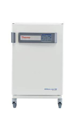 INCUBATOR CO2 160I 1CHAMBER SS 120V