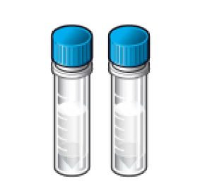 CELL LINE HUMAN IP CHO STABLE 2VL