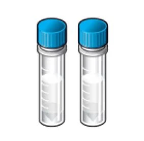 CELL LINE RABBIT V1B HEK STABLE 2VL