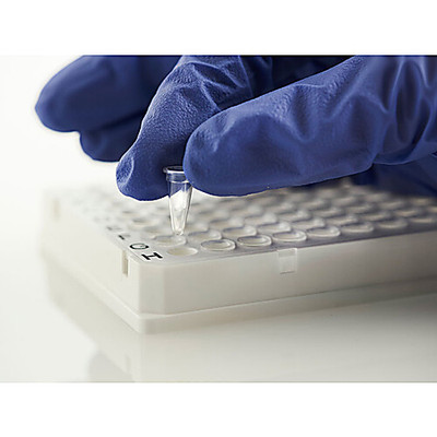 PLATE FRAME 96 WT PC RA SKT LP CS10