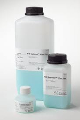 NI SEPHAROSE 6FF 500 ML 
 {2500-17531803}