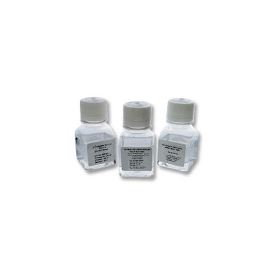 Antibiotic-Antimycotic Sol (100X)100mL {2180-401100491}