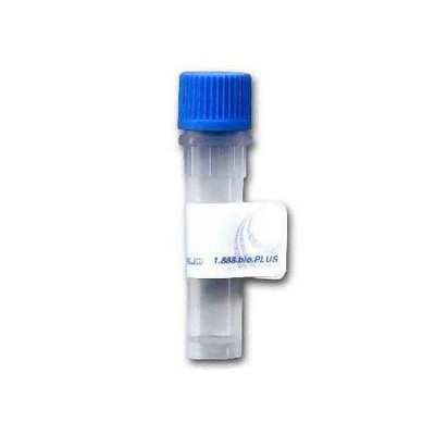 Apramycin::KLH conjugate