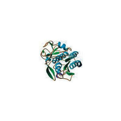 Proteinase K