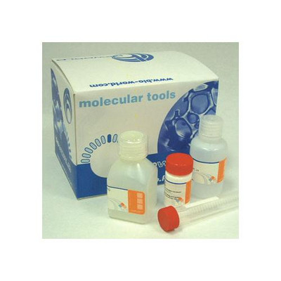 Gram stain kit