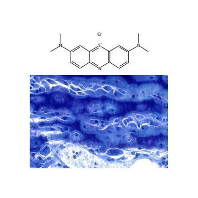 Methylene blue counterstain
