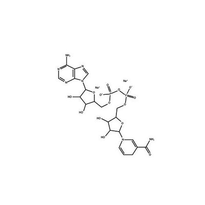 NADH (b-Nicotinamide adenine dinuc.. 5g {2180-414900082}