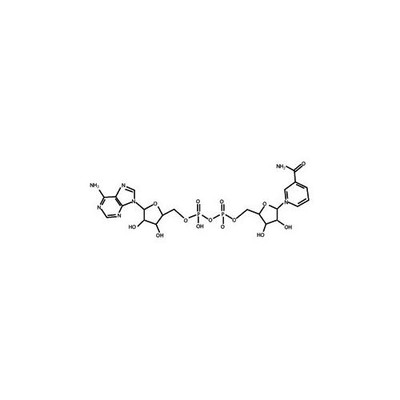 NAD(Nicotinamide adenine dinucleotid 10g {2180-414900043}