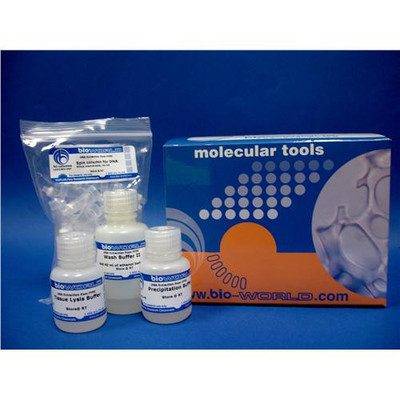 FFPE RNA Kit 100Units {2180-107600502}