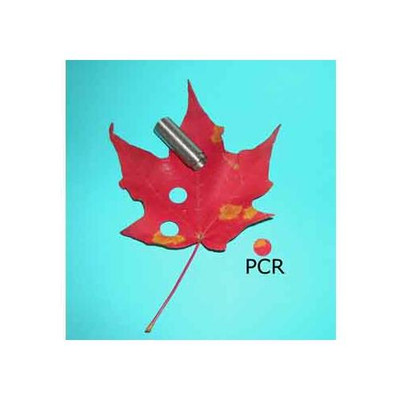 Leaf PCR kit-50 Reactions 1Kit {2180-111400071}