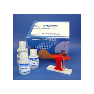 MagneZoomT ConA- Kit