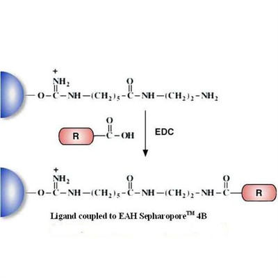 EAH Separoporer (Agarose) 4B
