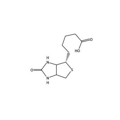 D-Biotin