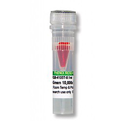 GelGreen Nucleic Acid Gel Stain