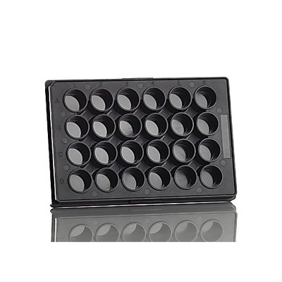 24 Well Assay Plate; 1.88 ml round wells {2207-4ti0262 PK}