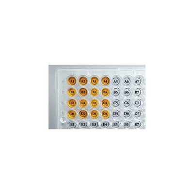 96-Well Orienter Stickers {2358-WEST1000 PK}