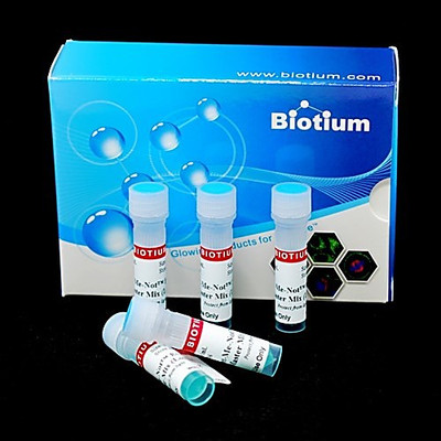 DYE QPCR HIGH ROX FORGET-ME-NOT 1ML 
 {2177-310461ML}