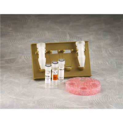 Midi (1K Mwco) Flextube Kit - 30/Pk {2577-IB48133 PK}