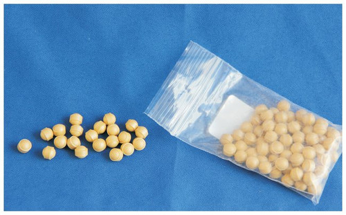 DNA Extraction and Purification 
 {2805-116540424 PK}