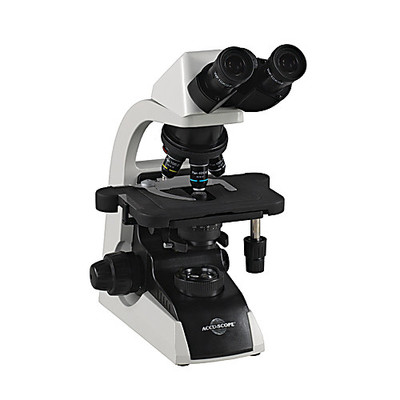 3012-LED Ergo Binocular Microscope with  
 {2019-3012LEDBE}