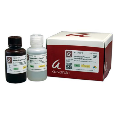 WesternBright Quantum Kit (for 1000cm² m 
 {2037-K12042D10}