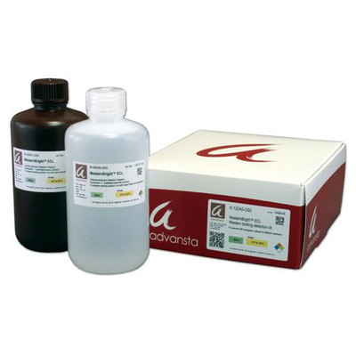 WesternBright ECL HRP Substrate Trial Si 
 {2037-K12045C20}