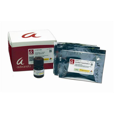 AdvanStain Scarlet Protein Stain Kit, 5m 
 {2037-K11072B50}