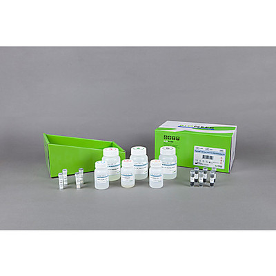 MagListo 5M Plant Genomic DNA Extraction Kit, 100 mini rxns