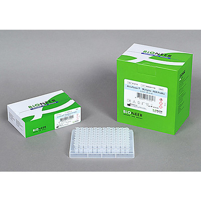 AccuPower RT PreMix, 8-tube strips, 20 ul x 480 reactions