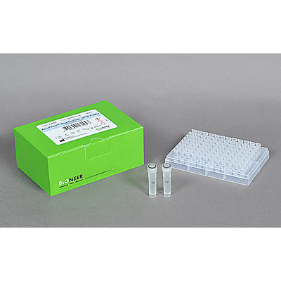 AccuPower Plus DualStar qPCR 2X Master Mix, 2.5 ml